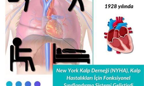 PAH'ın Tarihçesi - Tanılama Yöntemlerindeki Gelişmeler -5- Kalp Hastalıkları İçin Fonksiyonel Sınıflandırma Sistemi Geliştirdi - 2024.09.24