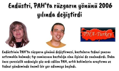 PAH'ın Tarihçesi -27.5- Endüstri, PAH’ta Rüzgarın Yönünü Değiştiriyor - 2006 - 2024.01.03