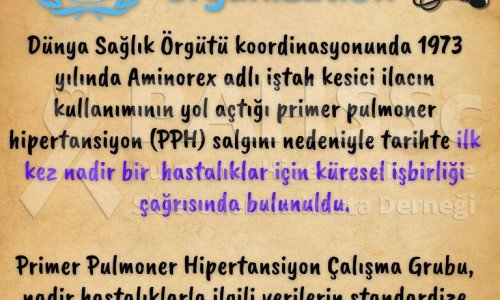 PAH’ın Tarihçesi -18.1- İlk Kez Nadir Bir Hastalıklar İçin Küresel İşbirliği Çağrısında Bulunuldu - 2024.10.28