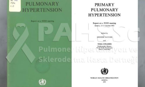 PAH’ın Tarihçesi -18.2- Dünya Sağlık Örgütü (DSÖ) - 1. Dünya Pulmoner Hipertansiyon Toplantısı - 2024.10.29