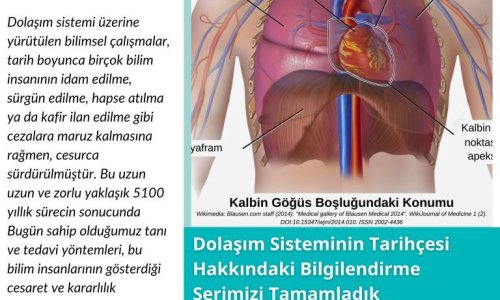 Dolaşım Sisteminin Tarihçesine Yönelik Bilgilendirme Serimiz Tamamlandı, İlginiz İçin Teşekkür Ederiz - 2024.09.14