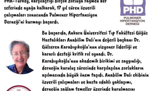 PAH'ın Tarihçesi -27.6- PHA-Turkey'in, 17 Yıllık Mücadelesi Kurumsal Yapıyla Taçlandı - 2008 - 2024.01.03