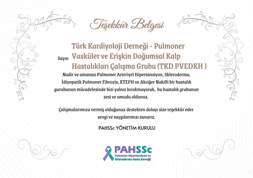 Türk Kardiyoloji Derneği - Pulmoner Vasküler ve Erişkin Doğumsal Kalp Hastalıkları Çalışma Grubu (TKD PVEDKH )