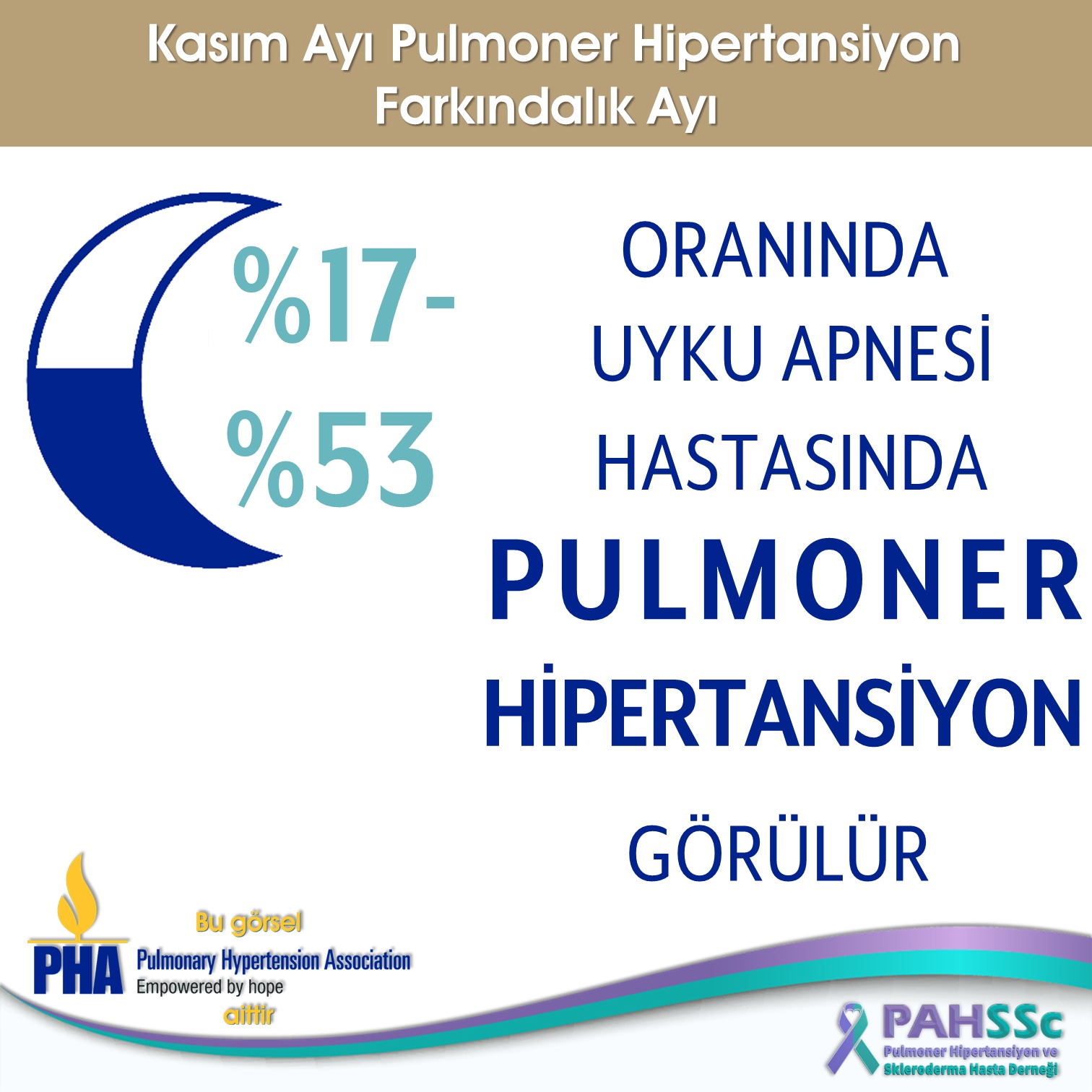 Kasım ayı Pulmoner Hipertansiyon Farkındalık Ayı