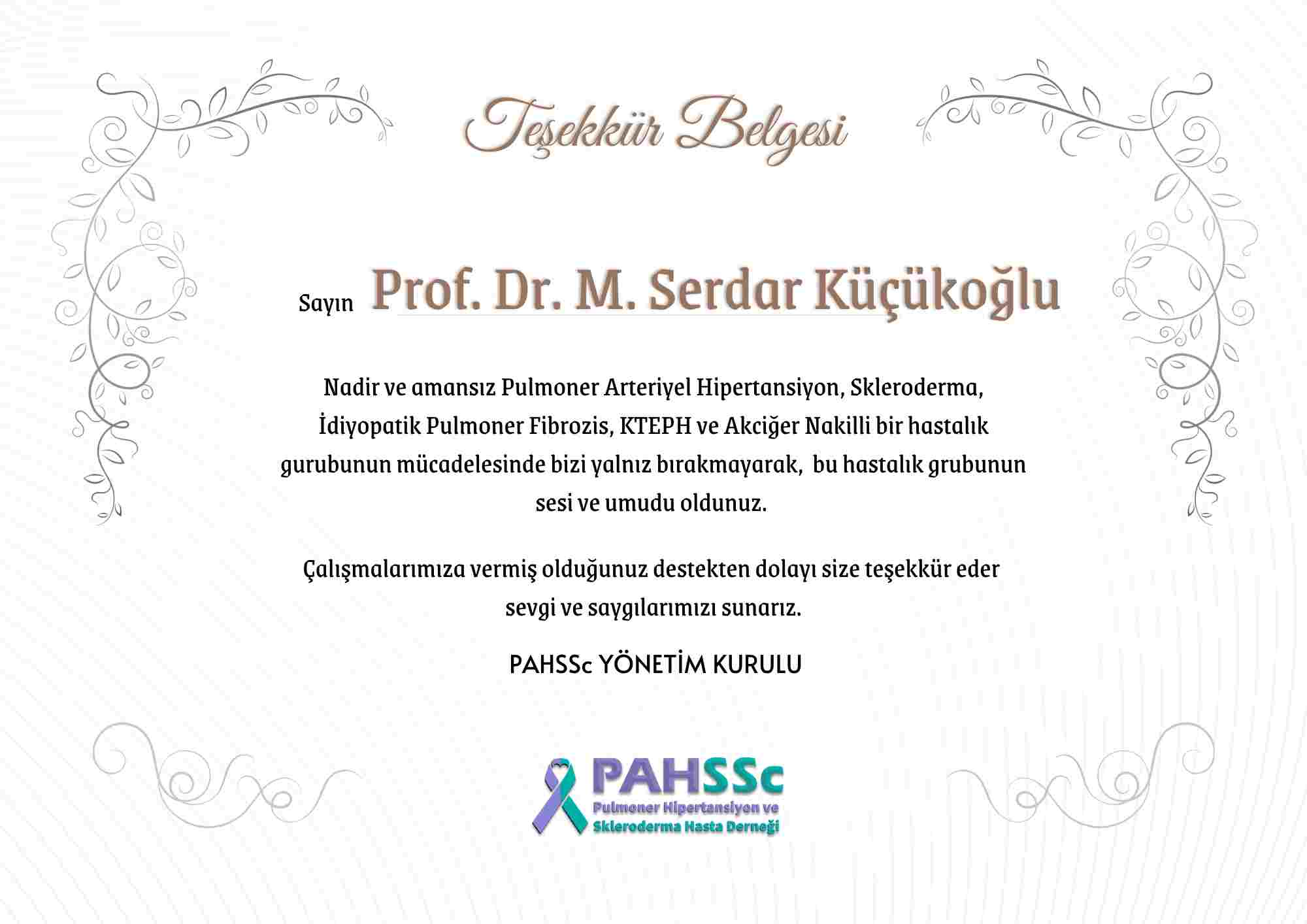 Prof. Dr. Mehmet Serdar Küçükoğlu