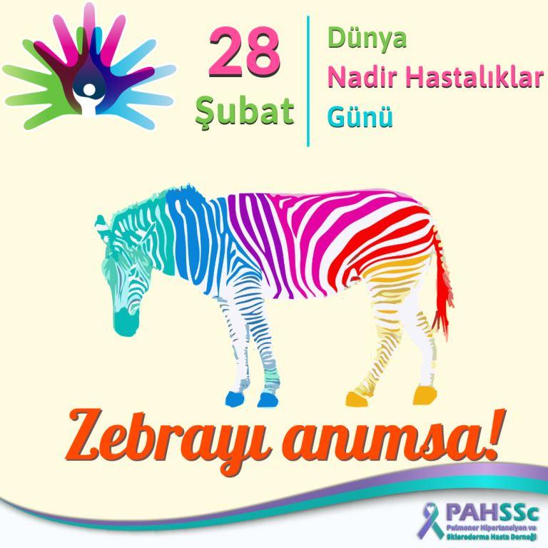 PAHSSc-Zebrayı anımsa