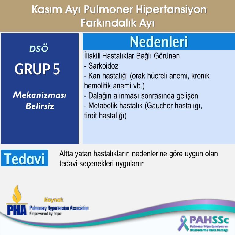 DSÖ Grup 5 - Mekanizması Belirsiz Pulmoner Hipertansiyon