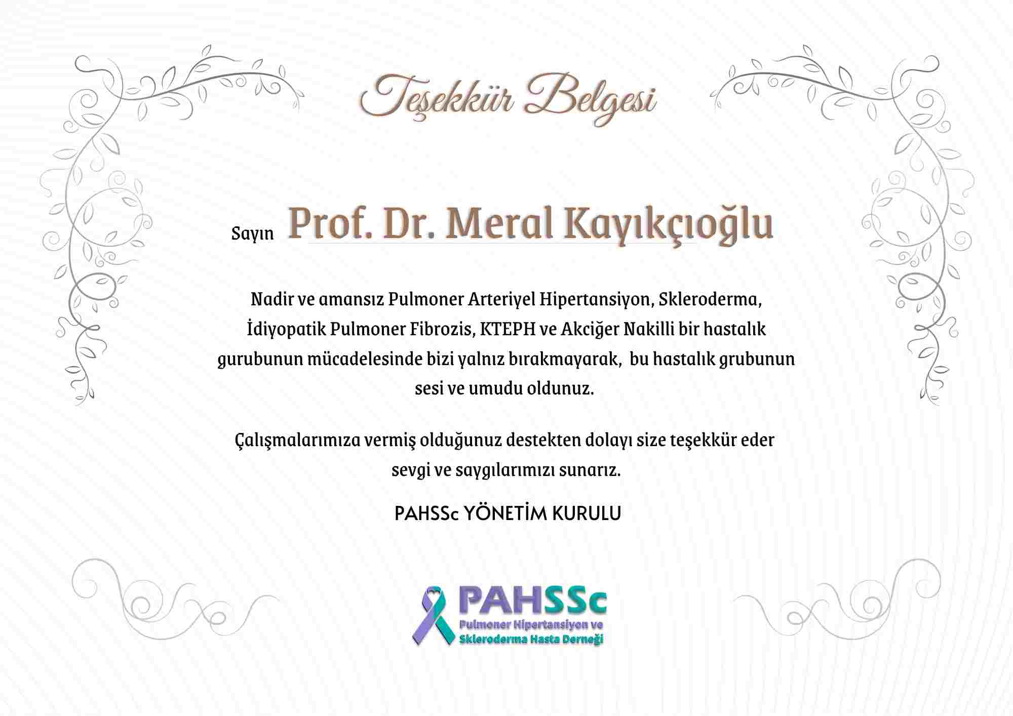 Prof. Dr. Meral KAYIKÇIOĞLU