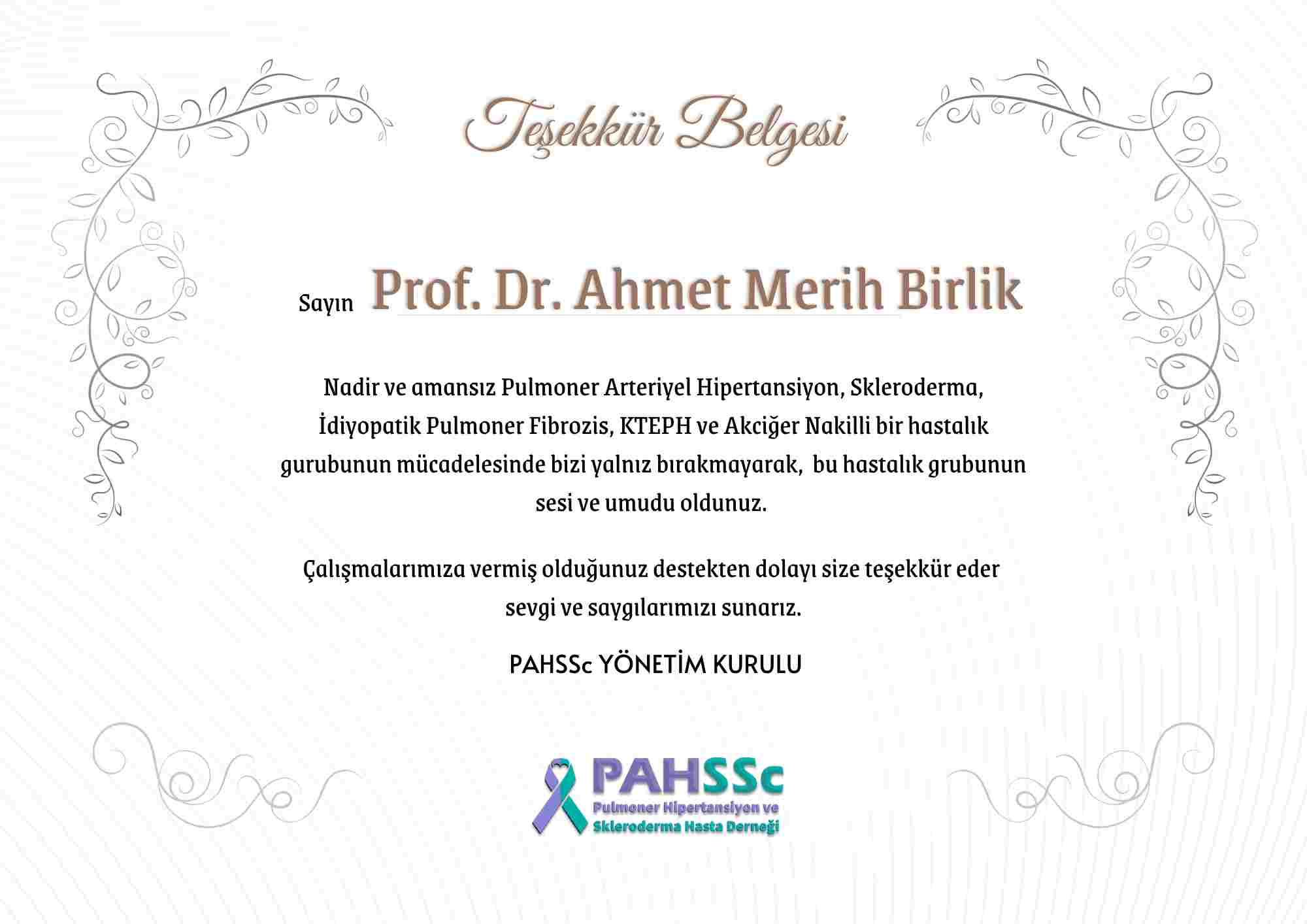Prof. Dr. Ahmet Merih Birlik
