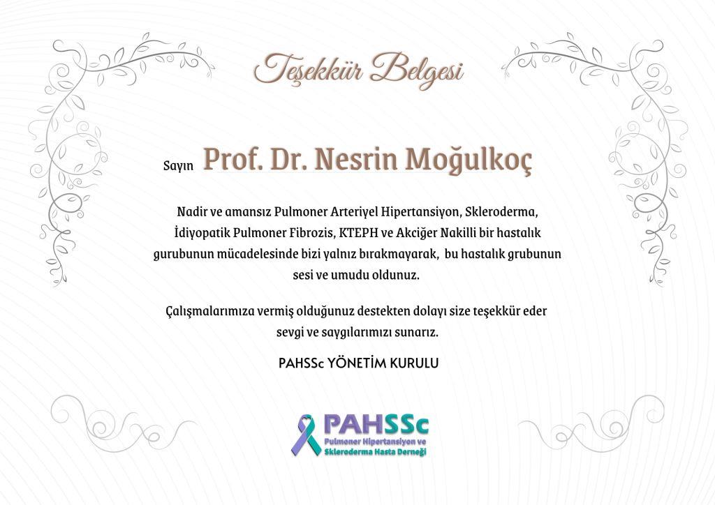 Prof. Dr. Nesrin Moğulkoç