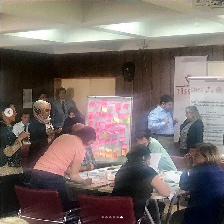 29 Nisan 2019 tarihinde gerçekleştirilecek olan “Nadir Hastalıklar Hasta ve Hasta Yakınları İhtiyaçlar Analizi Çalıştay