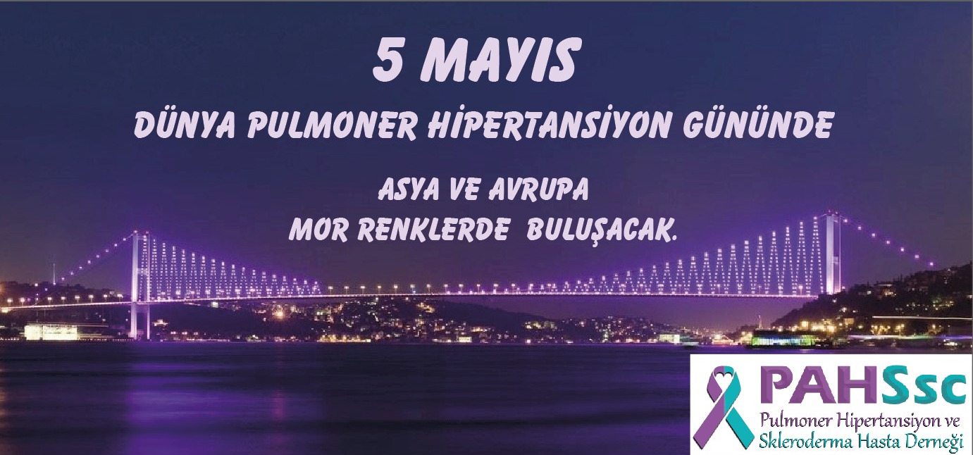 Dünya Pulmoner Hipertansiyon gününde İstanbul Boğazının incileri PH renklerine bürünecek