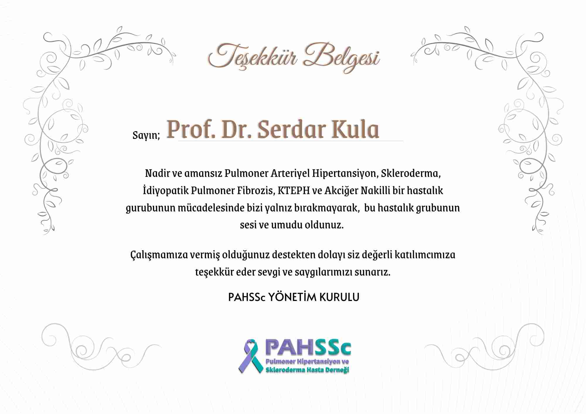 Prof. Dr. Serdar Kula