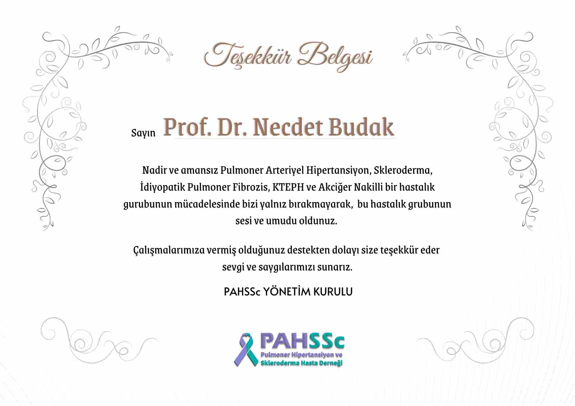 Prof. Dr. Necdet Budak